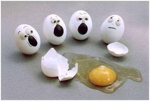 funny_creative_pictures_eggs_12.jpg