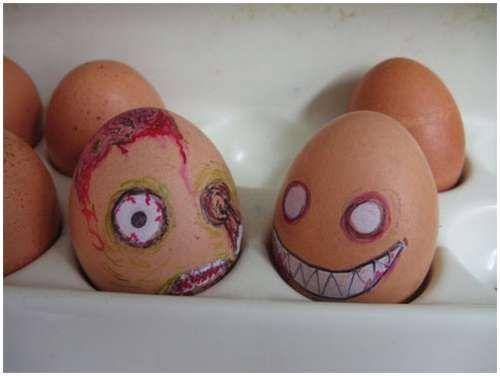 funny_creative_pictures_eggs_19.jpg