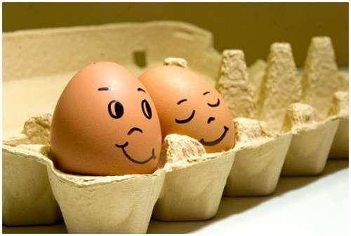 funny_creative_pictures_eggs_20.jpg