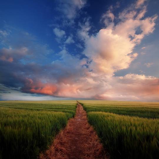 nature_photos_4.jpg