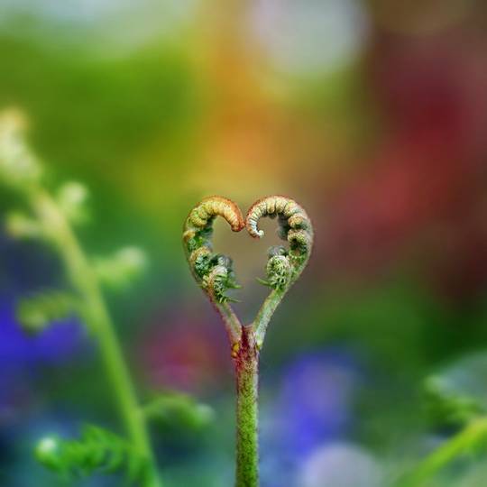 nature_photos_5.jpg
