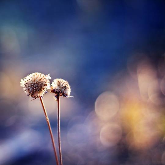 nature_photos_6.jpg