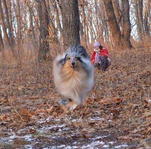funny_animals_12.jpg