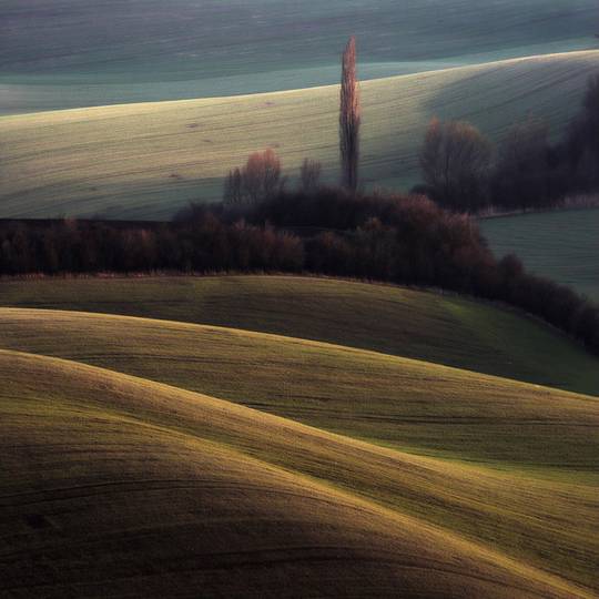 beautiful_nature_5.jpg