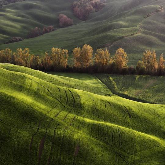 beautiful_nature_1.jpg