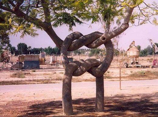 amazing_trees_1.jpg