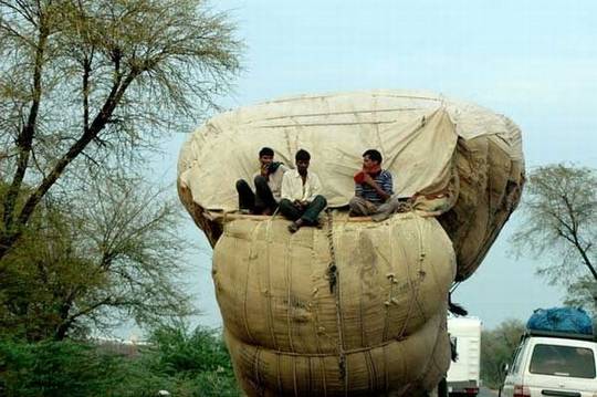 funny_pictures_from_indian_16.jpg