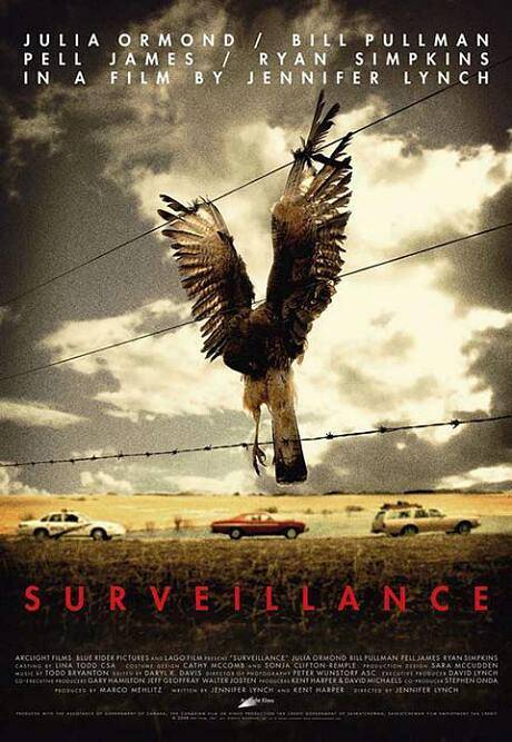 beautiful_movie_posters_42.jpg