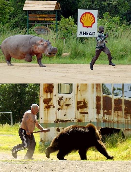 funny_pictures_02.jpg