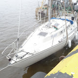 20100406_2010 nuleidimas_007.JPG