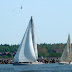 114.JPG