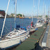 20100529_Pilies Regata_058.JPG