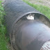 20100530_Pilies Regata_007.JPG