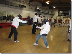 fencing 17