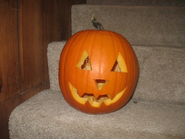 [pumpkins 05[3].jpg]