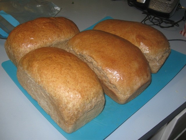 [bread 01[3].jpg]