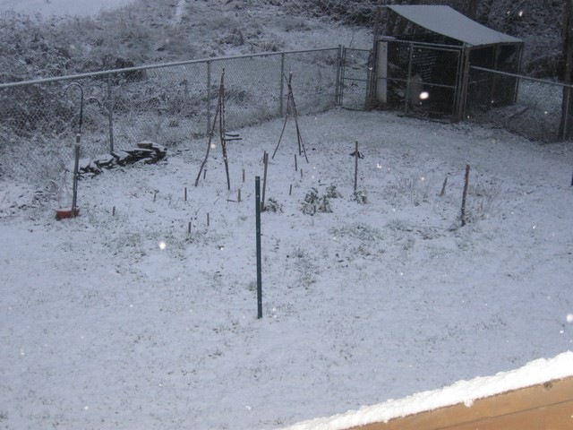[first snow  03[3].jpg]