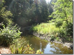 deep creek camp 21
