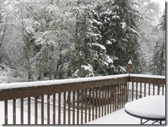 first snow 16 first snow 16