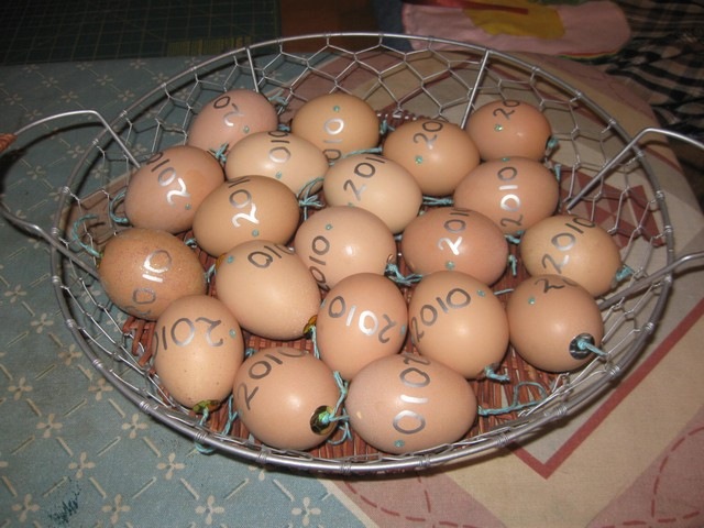 [egg ornaments 12[3].jpg]