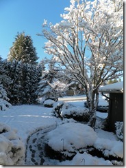snow day 30 snow day 30