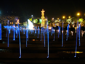IMG_8711.JPG