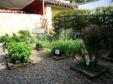IMG_9094.JPG.JPG