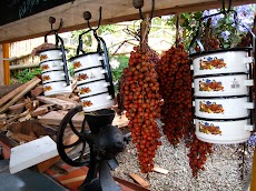 IMG_9100.JPG.JPG