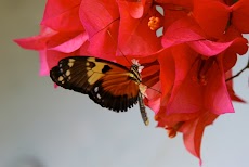 IMG_3987.jpg