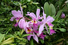 IMG_5365.JPG