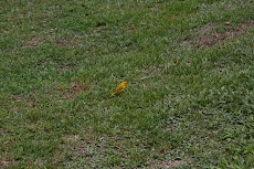 IMG_5384.JPG