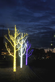 lighttree334 Sombra... y mucha luz