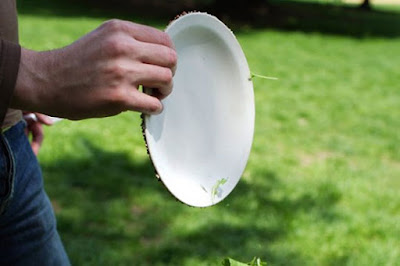 Platos biodegradables en segundos br02 Platos biodegradables en segundos