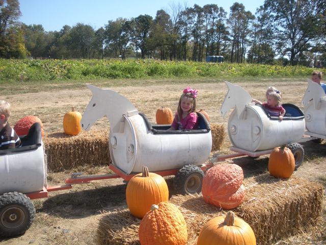 [fall2010 042[2].jpg]