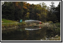 photobytrusz_20091008_tbg_009