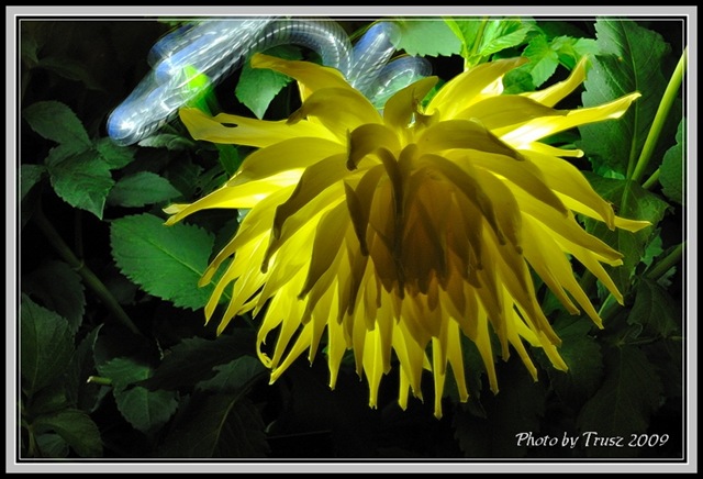 [photobytrusz_20091008_tbg_001[2].jpg]