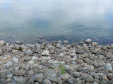 P1020855.JPG