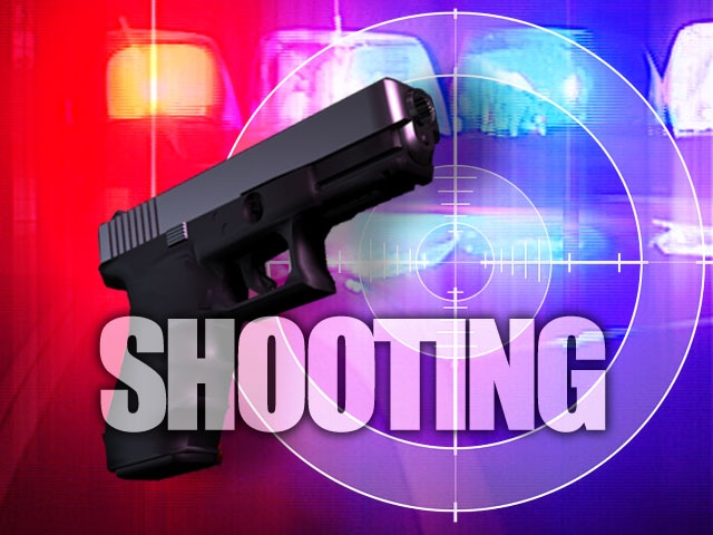 [Shooting[4].jpg]