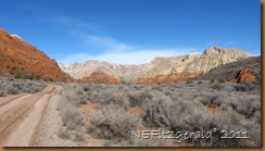 IMG_5128 IMG_5128