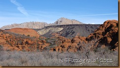 IMG_5143 IMG_5143