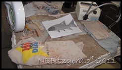 IMG_5246 IMG_5246