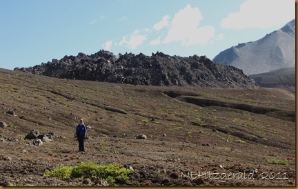IMG_3716 IMG_3716