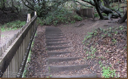 IMG_5680 IMG_5680