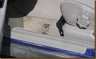 IMG_5661 IMG_5661