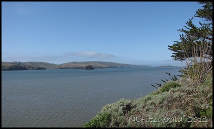 IMG_5752ViewTo SalinianBlock_ PointReyes Peninsula_Across TomalesBay_SAF IMG_5752ViewTo SalinianBlock_ PointReyes Peninsula_Across TomalesBay_SAF