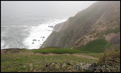 IMG_5698Point Reyes IMG_5698Point Reyes