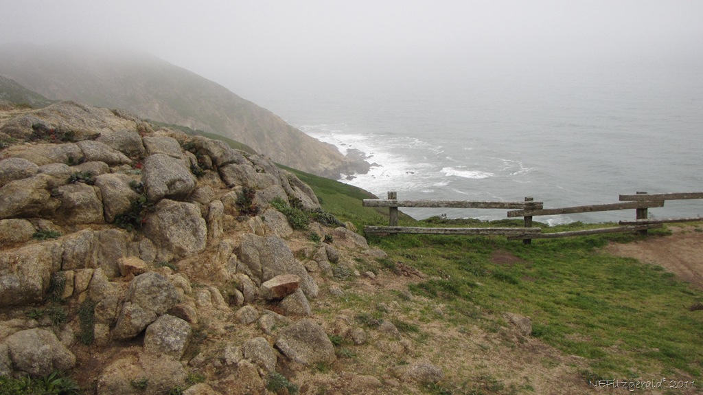 [IMG_5697Granite AtPointReyes[10].jpg]