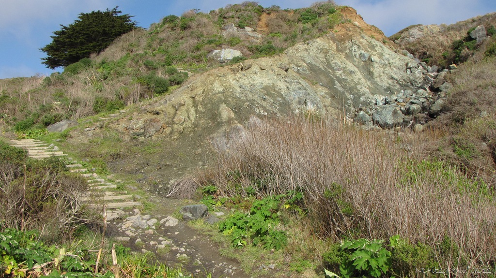 [IMG_5784Eroding Franciscan MelangeAtShell Beach[1].jpg]
