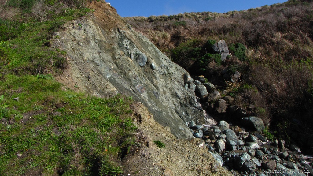 [IMG_5768 FranciscanRocksAtShellBeach.jpg]