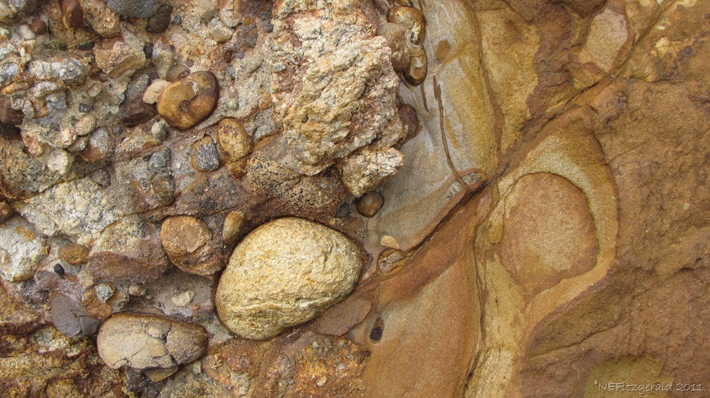 [IMG_5901Point Reyes Conglomerate[11].jpg]